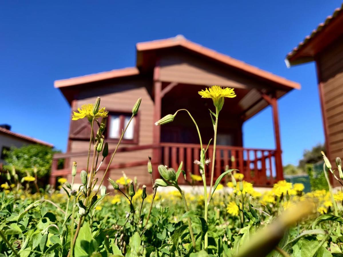 Camping Bungalow Serra De Prades Resort Vilanova de Prades Dış mekan fotoğraf